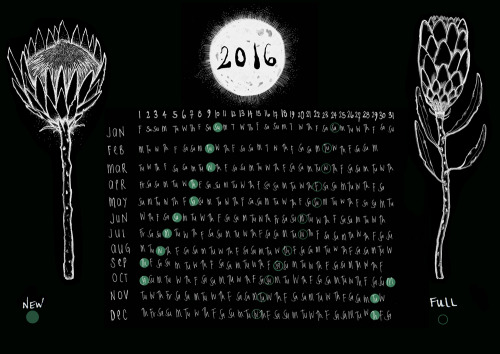 2016 Protea calendar feat. new and full moon phases for the Southern Hemisphere. I have some giclee 