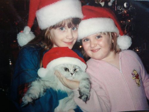 qlax:Happy International Cat Day! I thought I’d post the kitties I’ve become best friends with, the 