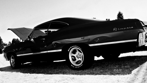 XXX elkking:  1967 Chevy Impala  photo