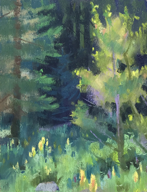 Here’s a selection of my pastels from this year’s trip up to the Sierra Nevada Field Cam