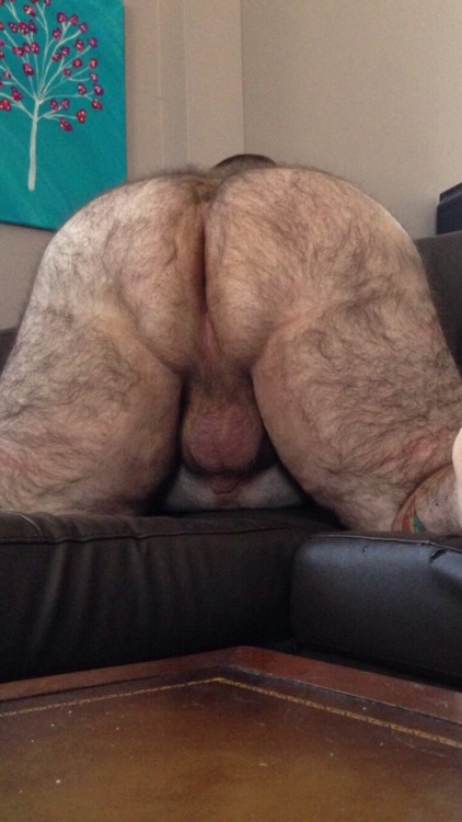 smother-me-in-ur-blubber:  I want this huge fat hairy blubber ass sitting in my face. Smother me. Wo