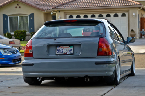 JDM-190 adult photos