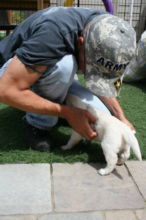 The Bergin University of Canine Studies pups have now moved to a bigger area on campus - that means 