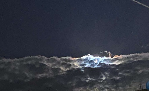Tras El Fin De Sus Tormentas, Esconde Muchas Cicatrices Y Aunque La Fuerza No Le Abandona, Se Siente