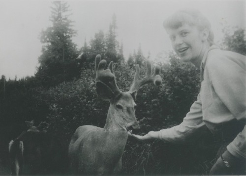 tremendousandsonorouswords: Sylvia Plath feeding a deer, Algonquin Provincial Park, Ontario, Canad