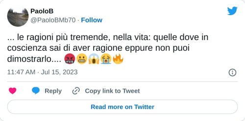 ... le ragioni più tremende, nella vita: quelle dove in coscienza sai di aver ragione eppure non puoi dimostrarlo.... 🤬😬😱😭🔥  — PaoloB (@PaoloBMb70) July 15, 2023