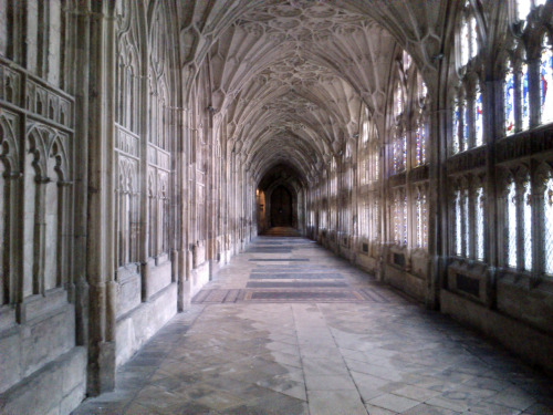 lemonsadventures:Gloucester Cathedral’s cloisters, Gloucester, England