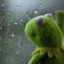 onesadfrogprince