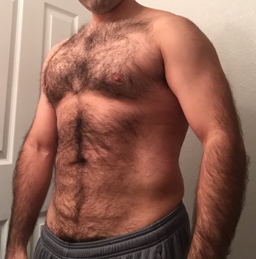 Hollandbear