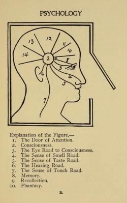nemfrog:  Diagram locates the senses and mind functions in the brain. New light on psychology. 1905.