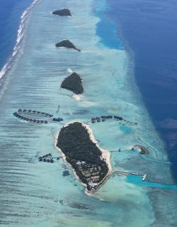 Paradise found (Maalifushi Resort, Thaa Atoll,