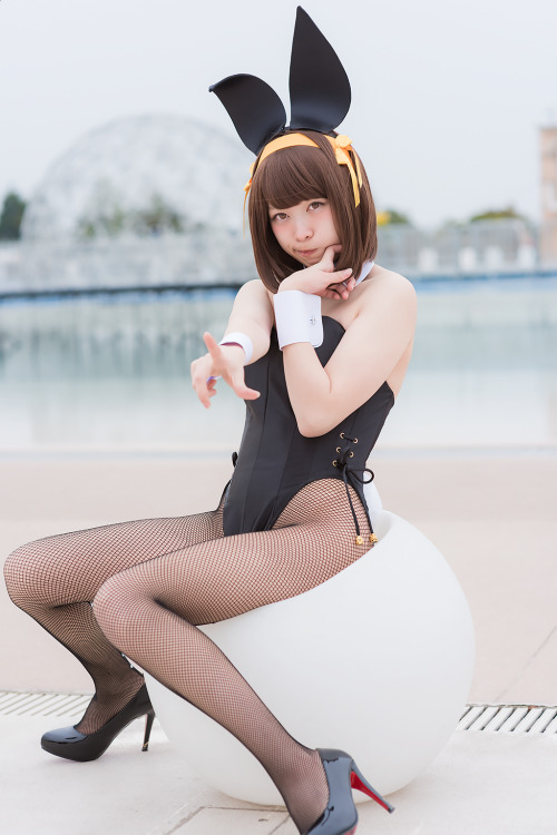 Haruhi Suzumiya -  小鞠こまちさん