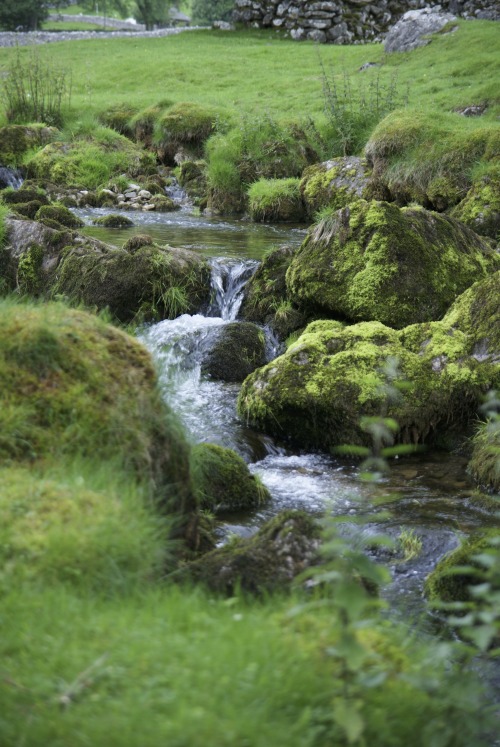 alternativechoices: Yorkshire, England