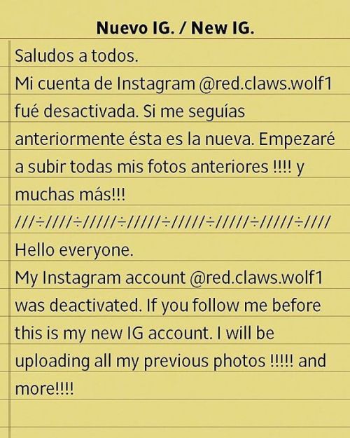 Saludos a todos. Mi cuenta de Instagram @red.claws.wolf1 fué desactivada. Si me seguías anteriormen