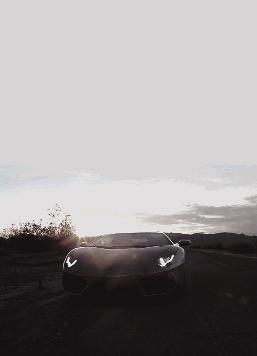 Emotion And Motorsport