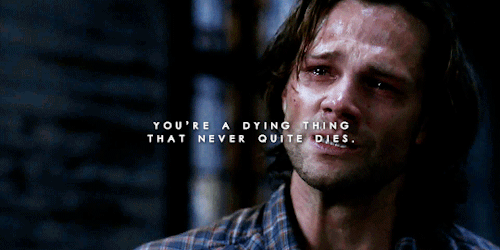 waywardsam:— the difference between surviving and living | m.a.w