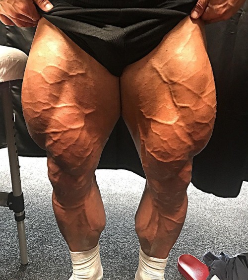 Rob Taylor 
