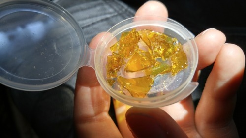 thesquidbat:Tangerine Dream 1G 79.6% THC