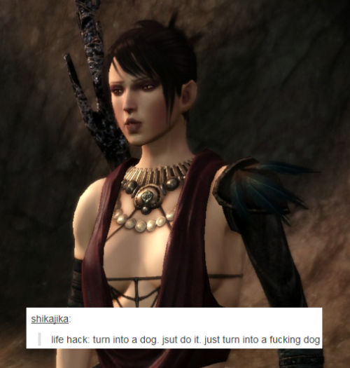 bubonickitten:Dragon Age: Origins + text posts, part 2Decided to do some more for the DA:O crew.More
