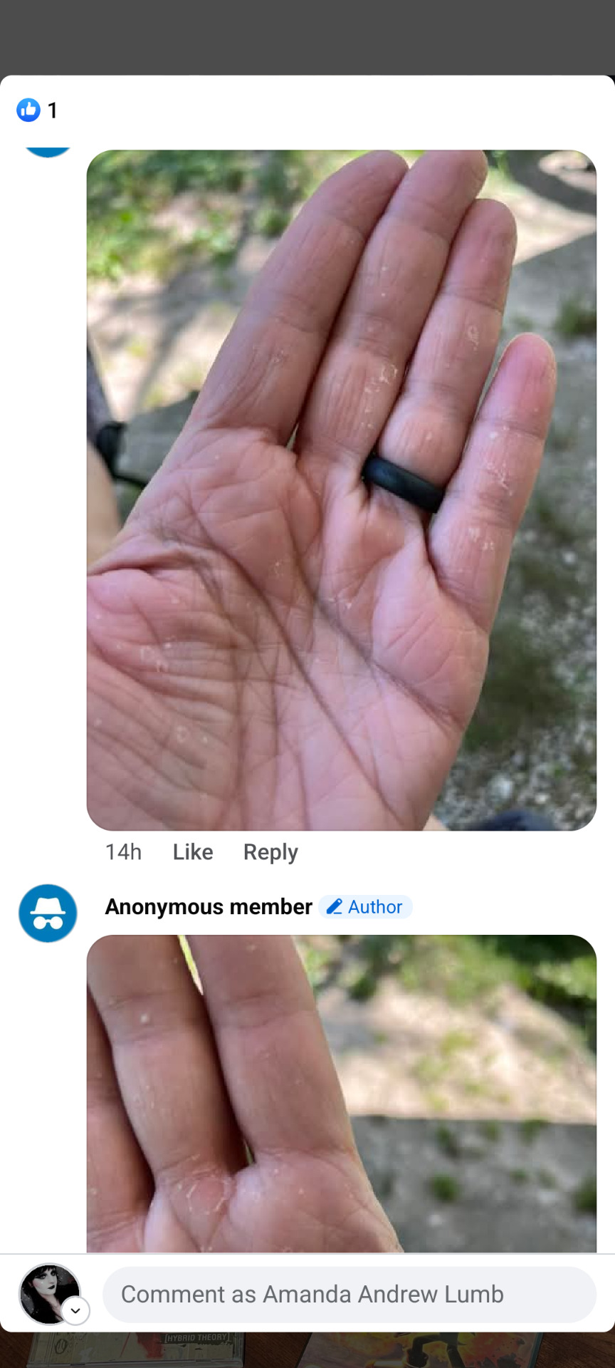 Tumblr media
