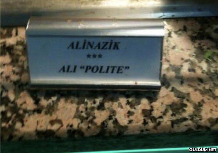 ALİNAZİK *** ALI "POLITE"    Kaynak