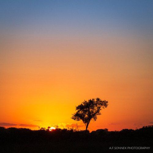 Sunset on the Serengeti?  Nope - it’s the bison preserve at Minneopa State Park just outs