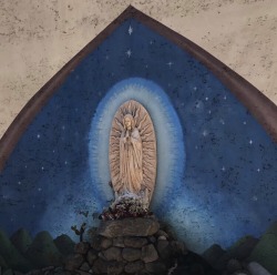 hodaly-s:  Altar de la Virgen de Guadalupe