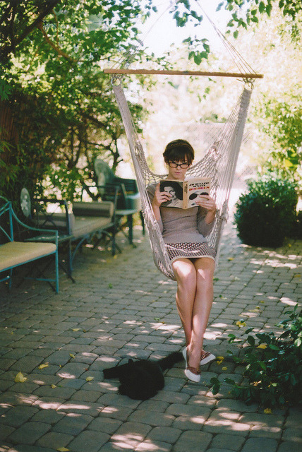 stalwarts:  fxtures:     nature/vintage blog        