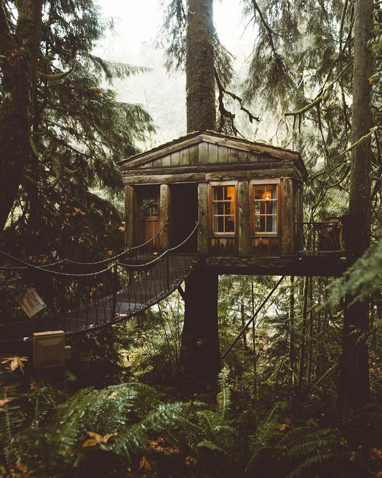 #outdoor , Staying cozy in a warm treehouse 🌲 | 📸 Michael Flugstad