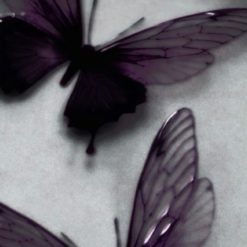 A Candied Violet? That's Clever.