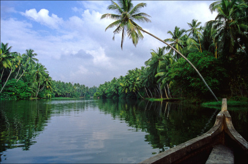 gypsyyatheart: palmtree: travelingcolors: Lush green backwaters in Kerala | India (by Ron Layters