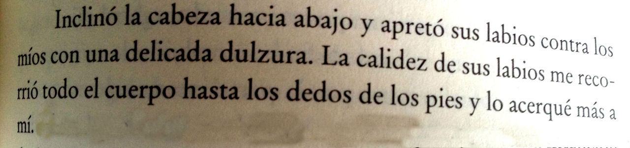 ratonde-biblioteca:  Maravilloso Desastre~