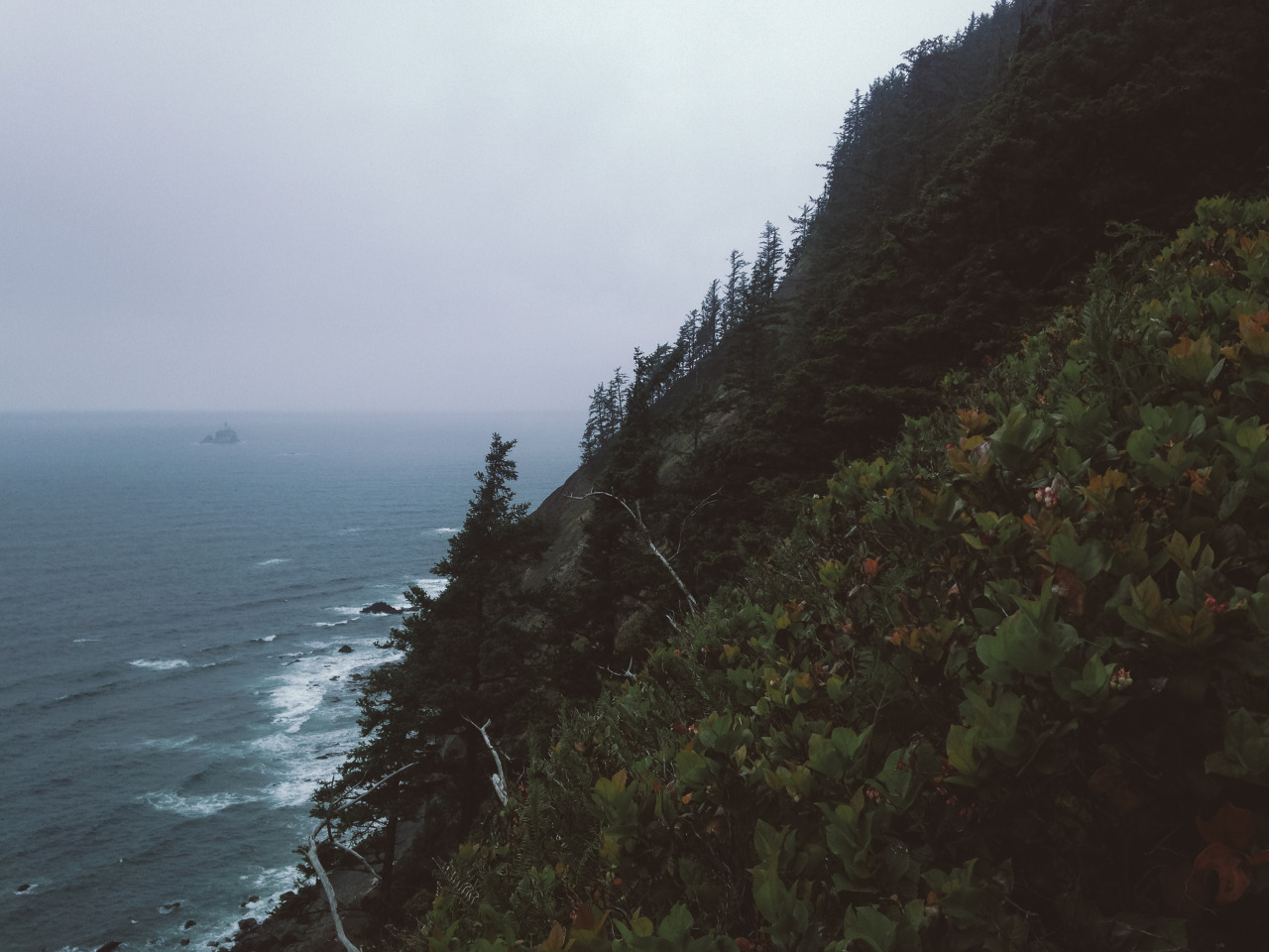 leaberphotos:  And with the rising sun, I arose from ash and dust Oregon Coast 