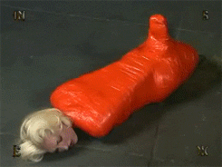 tanya-bound:  elyav:  boundinwonderland: Oh my, how lovely! Such a pretty little