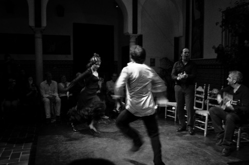 timewelllost:  Flamenco Sevilla, Spain 2013 