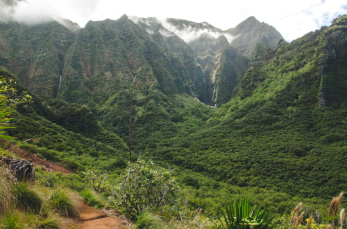 ratpackinsavage:  Kilauea Trail and Jungle waterfalls. Kauai, HI Sean Doucet Photo