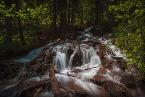 To be alive is amazing. But to be conscious, to look at something as simple as a river &amp; say