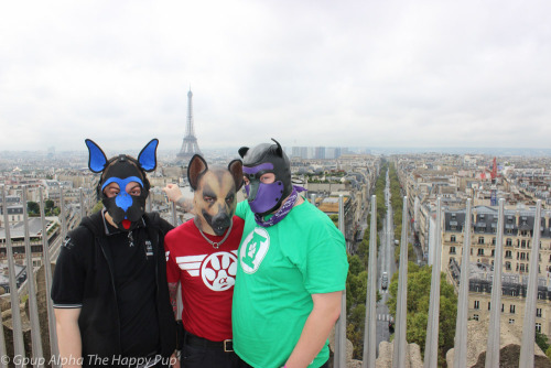 Sirius Pup Camp Paris is going amazing! Love this amazing city!You can learn more about human pup play here: http://SiriusPup.net http://TheHappyPup.com http://PupSafeProject.org 