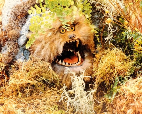 The Dark Crystal (1982)
