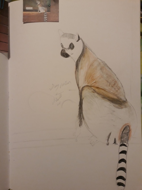 Quick Sketches