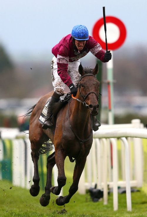 Rule The World wins the Grand National 2016 under David Mullins, incredible scenes. His little broth