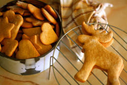 delectabledelight:  christmas cookies (by Sabina Panayotova) 