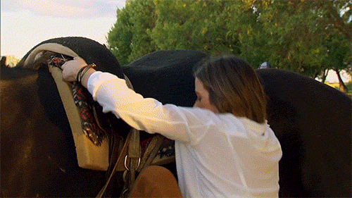 We’re not horsing around. #TheBachelorette is back in action!