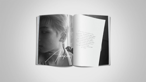 ofkimtaehyung:KIM NAMJOON’S BIRTHDAY COUNTDOWN: DAY 2RM - 2015 ♡I wanted to show that I had two side