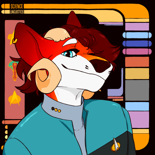 Starfleet/LCARs icons for myself and my friend Ray!!