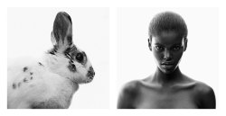 yxen:  lindsey wixson &amp; amilna estevao in my dream for animals for models.com 