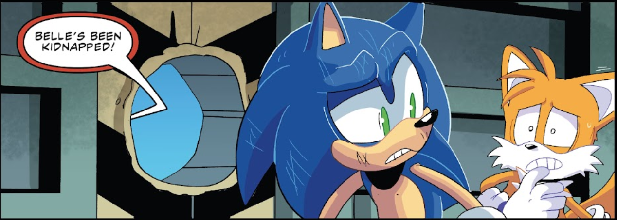 Semi Frequent Sonic Facts 🔫 on X: In the IDW's Sonic the