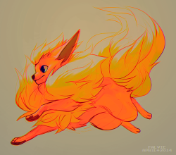 falvie:  If flareon were real I would glue them to my chest  