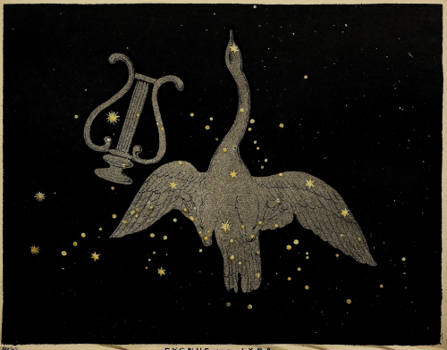 nemfrog:The constellations Lyra and Cygnus. The beauty of the heavens. 1842.Internet Archive