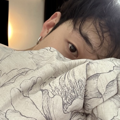 Bang Chan Icons.